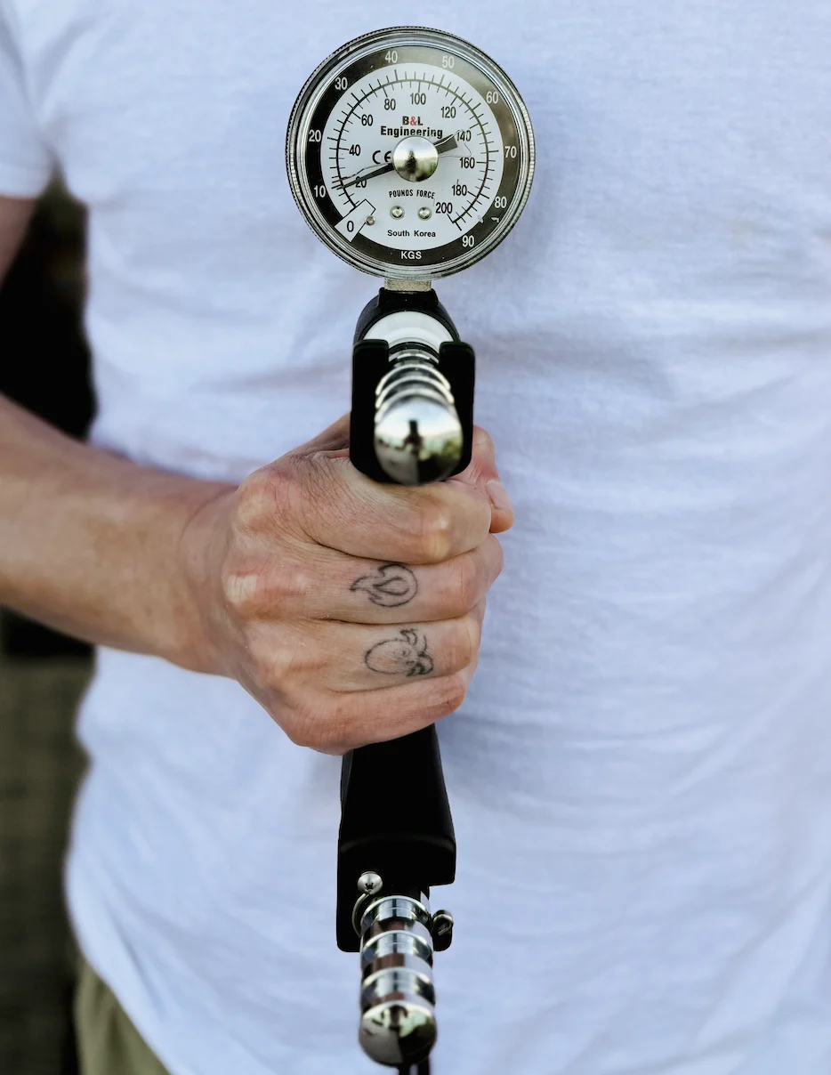 Hand grip strength assessment